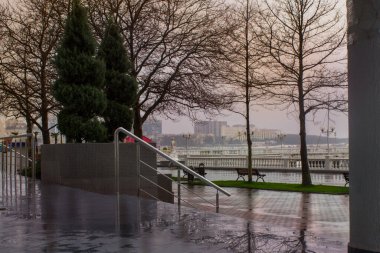 Bulutlu hava, yapraksız ağaçlar ve bir sütun.