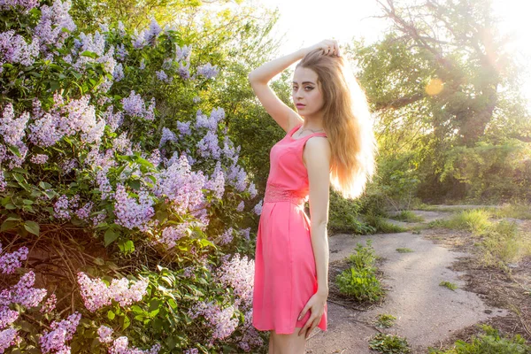 Una Hermosa Chica Vestido Rosa Encuentra Cerca Una Lila Violeta —  Fotos de Stock