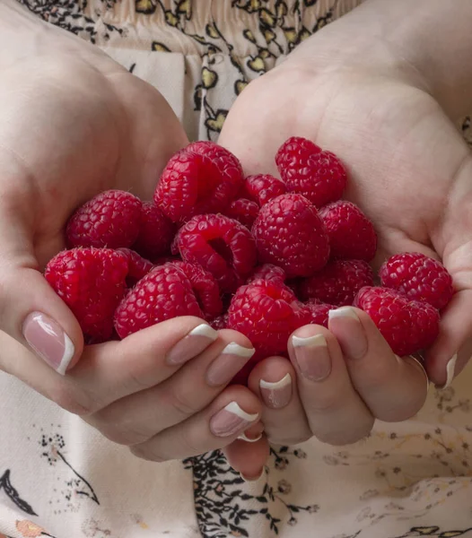 Girl Holds Fresh Berries Her Hands Raspberries Palms — Stock Photo, Image