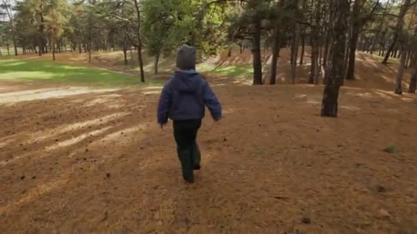小男孩在森林中运行在秋季的一天 — 图库视频影像