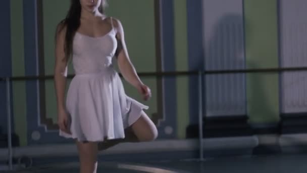전문적인 서커스 수행자 큰 강철 반지에 회전 — 비디오