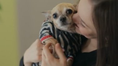 İskambil ile kadın köpek ve ona dokunmak