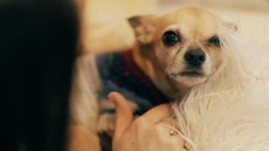 Kadın ve köpek birlikte portre
