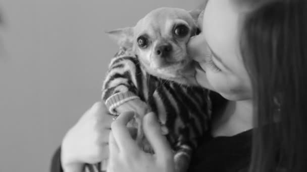 Portret van vrouw hou haar hond — Stockvideo