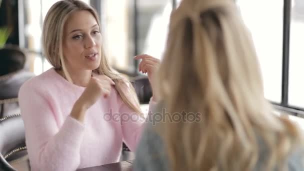 Twee vrouwen vrienden spreken in een café — Stockvideo