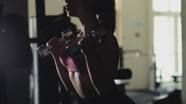 Sport woman lifting dumbbell in gym, biceps exercise — Stock Video