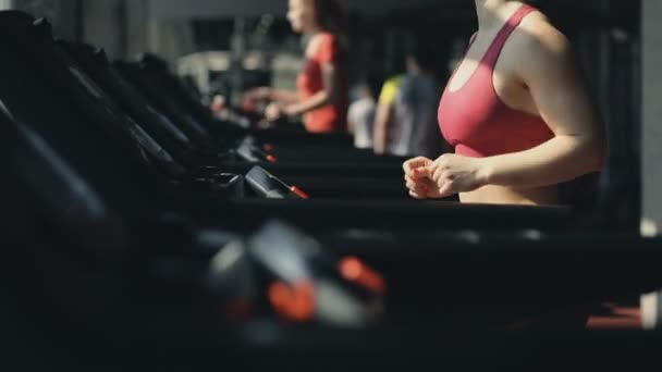 Vrouw in fitnesscentrum uitgevoerd op een loopband - bijgesneden — Stockvideo