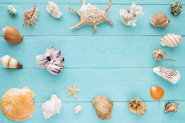 Mavi ahşap plakalar üzerinde birçok deniz kabuklarını