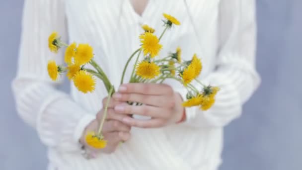 Dandelions tutan kadın kırpılmış — Stok video