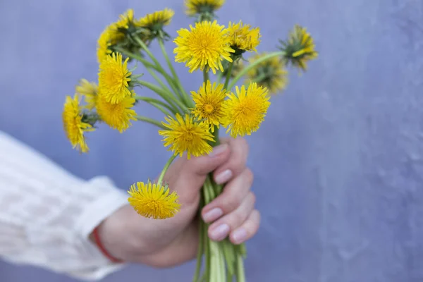 Dandelions mor duvar, buket