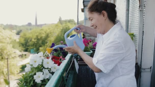 Szczęśliwy starszą kobietę, podlewanie kwiatów na balkon — Wideo stockowe