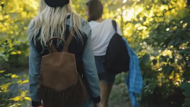 Deux jeunes femmes voyagent. Meilleurs amis marchant ensemble, ils passent à travers les fourrés. Les filles marchent dans la nature en vacances d'été . — Video