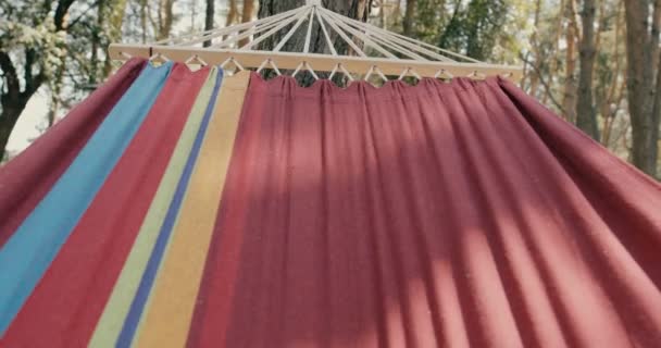 POV, eerste persoonsmening van liegen in een bewegende hangmat in een pinewood — Stockvideo