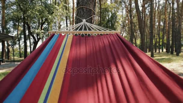 POV, vue à la première personne de couché dans un hamac en mouvement à une pinède — Video