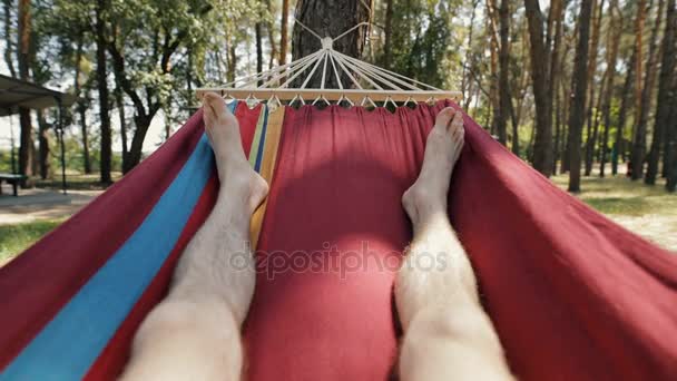 POV, första person perspektiv liggande i en glidande hängmatta på en pinewood — Stockvideo