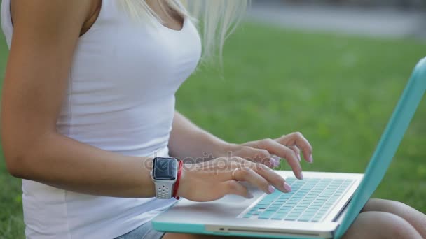 Όμορφη γυναίκα freelancer εργασία με την εξωτερική laptop κάθεται στο γρασίδι στο πάρκο — Αρχείο Βίντεο