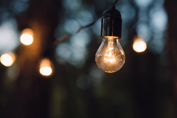 Lamba dekorasyon orman içinde. Düğün dekor akşam törenle unsurları.