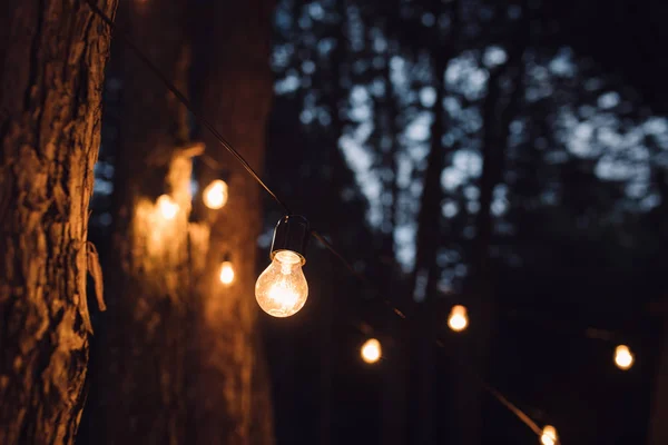 Lamppujen koristelu metsässä. Elementit häät sisustus illalla seremonia . — kuvapankkivalokuva