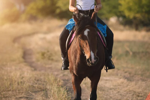 Hermosa joven vaquera montando su caballo en el campo — Foto de Stock