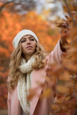 Güzel kadın toplamak sulak sonbahar ormandaki, o Park, renkli yeşillik çevresinde yürüyüş