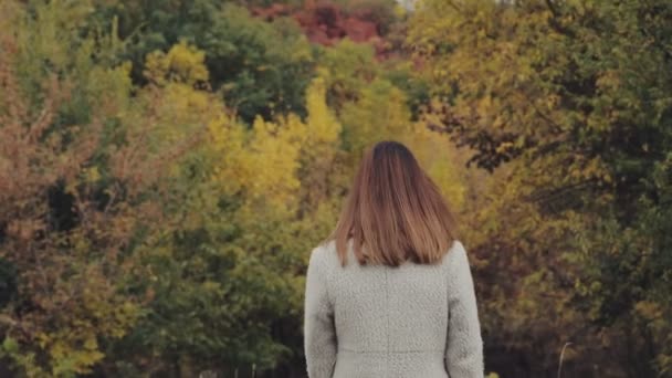 Vista posteriore della donna che cerca di giallo fogliame colorato tra gli alberi della foresta in autunno giorno coperto — Video Stock