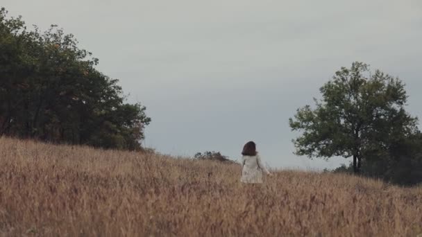 Mulher subir no campo entre árvores, ela está na natureza ao ar livre, minimalismo — Vídeo de Stock