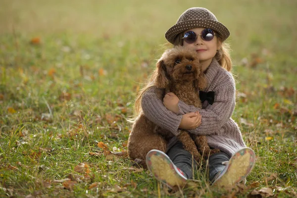 Petite fille en chapeau assis sur l'herbe étreignant chien ensemble le jour de l'automne, portrait d'art — Photo