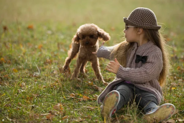 Sonbahar giysileri çimenlerin üzerinde oturan köpek ile oynarken küçük kız — Stok fotoğraf