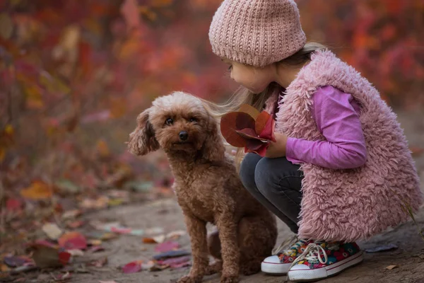 Küçük kız köpekle birlikte doğa üzerinde oturan sonbahar günü, sanat portre — Stok fotoğraf