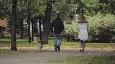 Park husky köpek ile birlikte yürüyüş sonbahar günü, dikiz, ağır çekim Çift