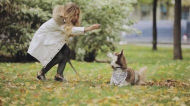 Erkek ve kadın parkta husky köpek ile sonbahar günü, ağır çekim, oynarken o onu tutmak alay besleme
