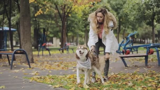 Vrouw met haar husky hond in park wandelen op de herfstdag, langzame motie — Stockvideo