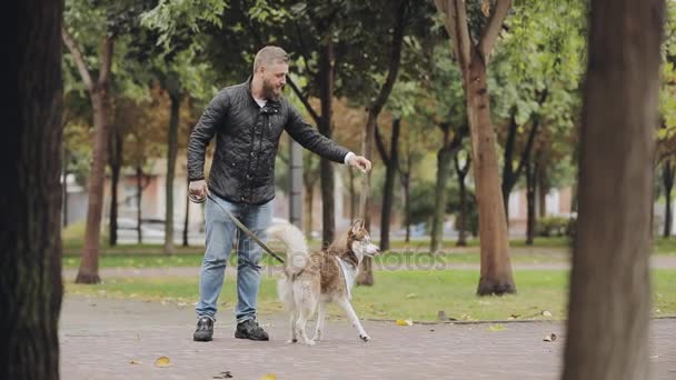 Чоловік грає зі своїм собакою хаскі, дражнить її в парку в осінній день, повільний рух — стокове відео