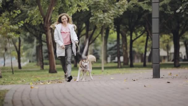 Femme jogging avec chien husky dans le parc le jour de l'automne, ralenti — Video