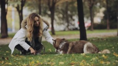 Kadın parkta husky köpek ile sonbahar gününde oynarken yavaş hareket