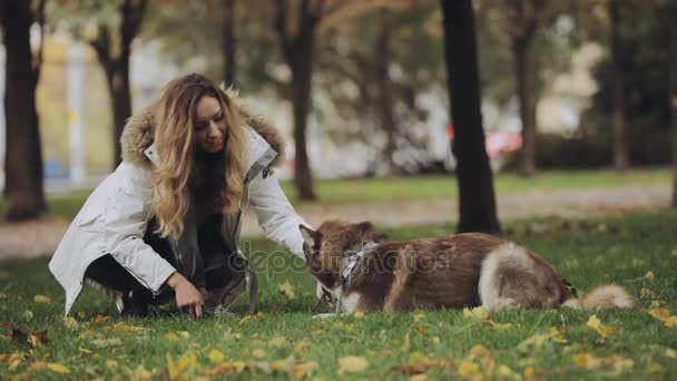 Woman playing with a dog husky in park at the autumn day, slow motion — Stock Video