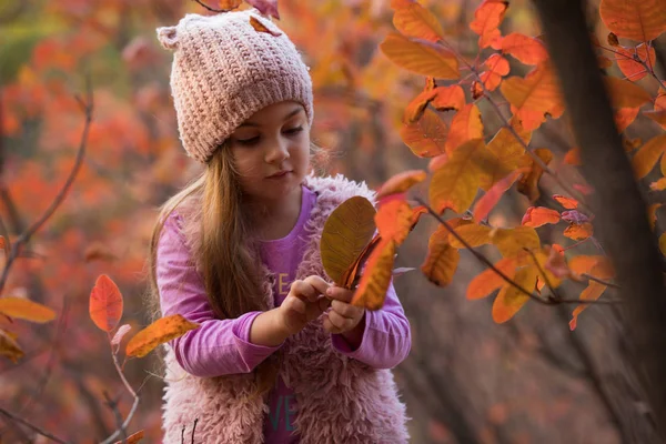 Little girl picking leaf at autumn — Stock Photo, Image