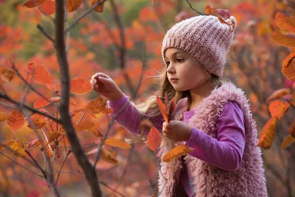 Little girl picking leaves at autumn — Stock Photo, Image