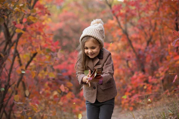 Little girl throw leaves at autumn — Stock Photo, Image