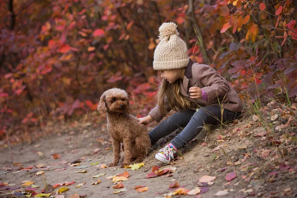 Menina acariciando o cão na natureza — Fotografia de Stock