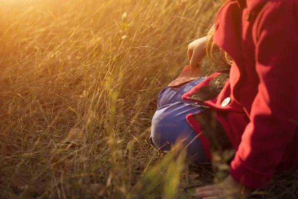 Et bilde av en liten jente som sitter på gress og holder løv og slapper av ved solnedgang om høsten. – stockfoto