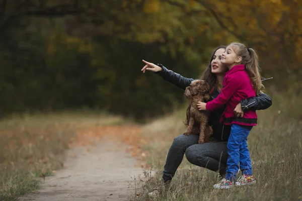 Äiti pienen tyttärensä ja koiransa kanssa metsäpolulla näyttämässä ja etsimässä jotain, syksyn keltainen puu taustalla — kuvapankkivalokuva