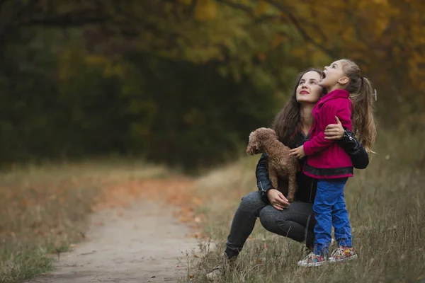 Mamma med sin lilla dotter och hund i skogen gångstig tittar upp till något, höstens gula träd på bakgrunden — Stockfoto