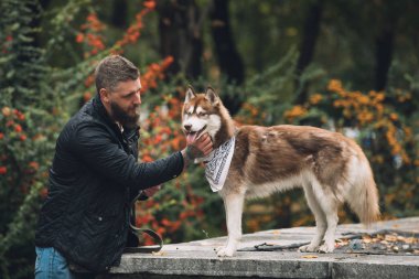 Husky ile oynayan adam