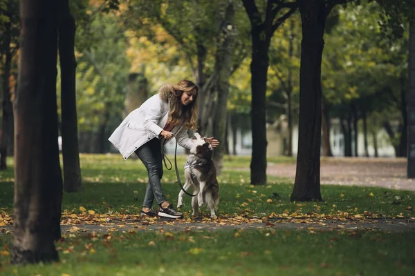 Kadın ile köpek oynama — Stok fotoğraf