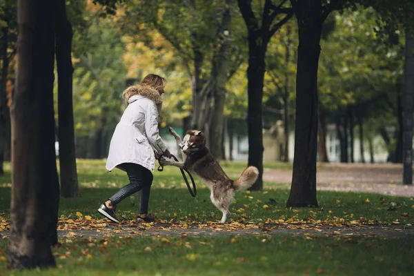 Жінка грає з собакою хаскі — стокове фото