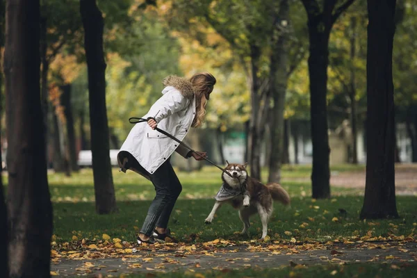 Mujer jugar con perro —  Fotos de Stock