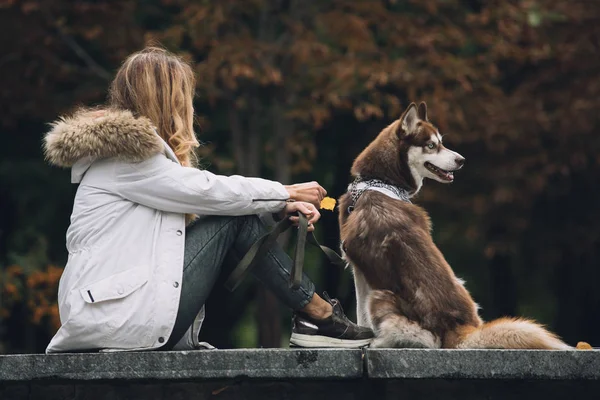 Frau sitzt mit Hund, Rückansicht — Stockfoto