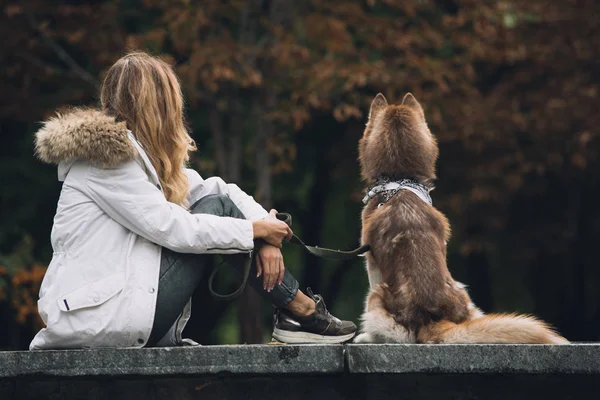 Sit kobieta z psem, widok z tyłu — Zdjęcie stockowe