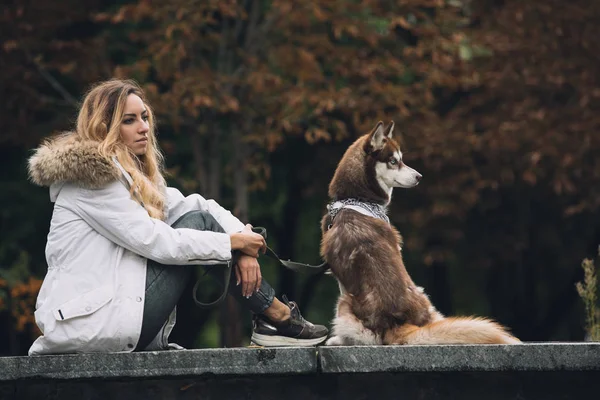 Donna seduta con cane nel parco — Foto Stock